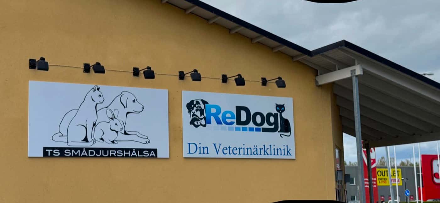 Fasaden på ReDog Veterinärklinik med klinikens logotyp och skylt på den gula byggnaden