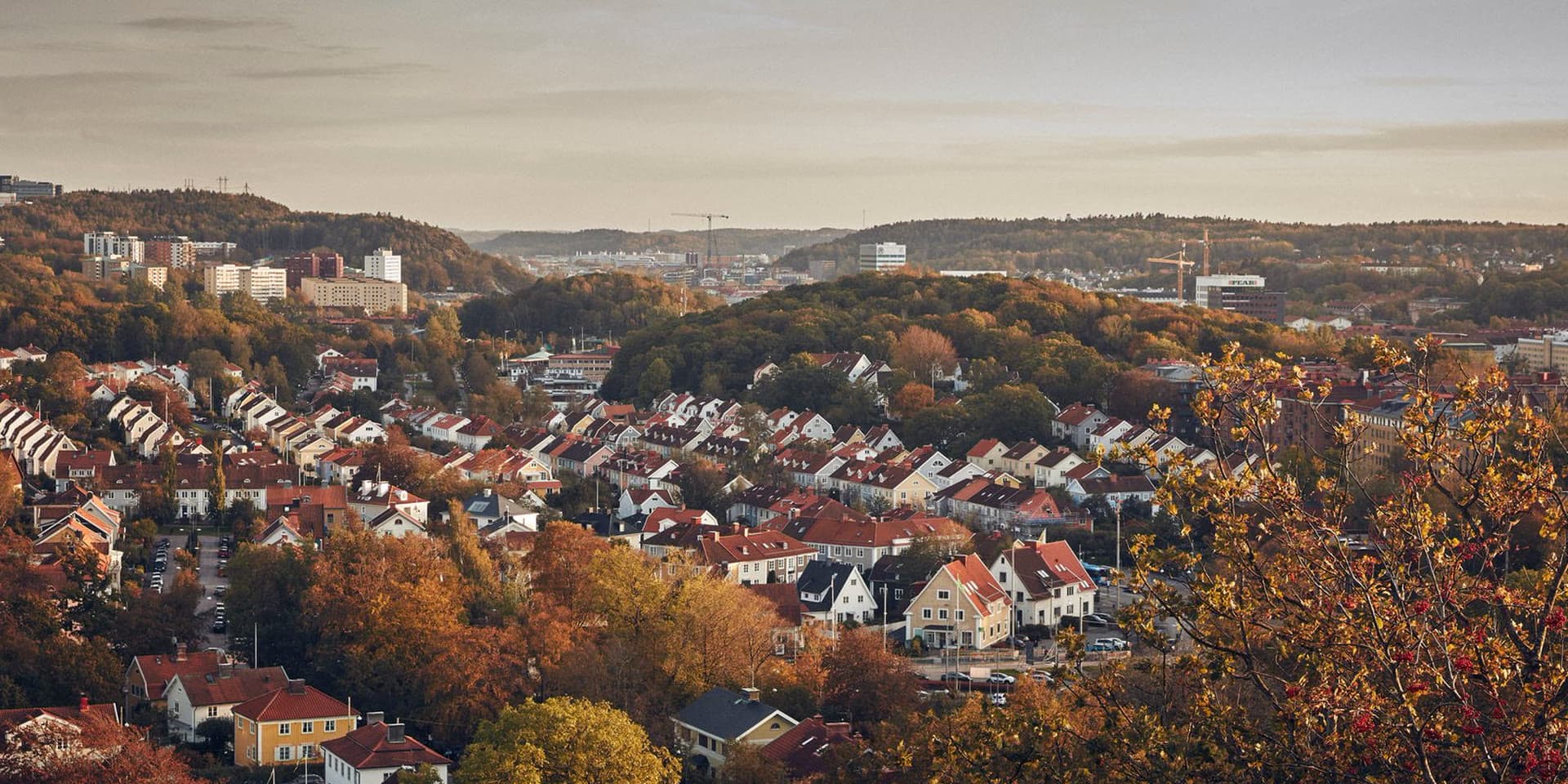 Örgryte-Härlanda, Göteborg — klassisk villabebyggelse och trädgårdar i Örgryte. Hitta privatägda veterinärer och djurkliniker i Örgryte-Härlanda.