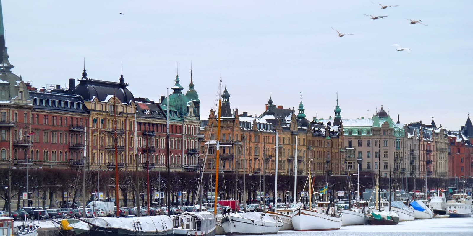 Östermalm, Stockholm — paradgata med sekelskiftesfasader och kastanjeträd. Hitta privatägda veterinärer och djurkliniker i Östermalm.