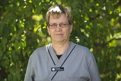 Carina