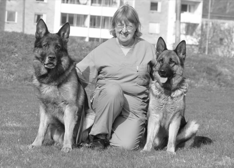 Elisabeth Sander Jonsson