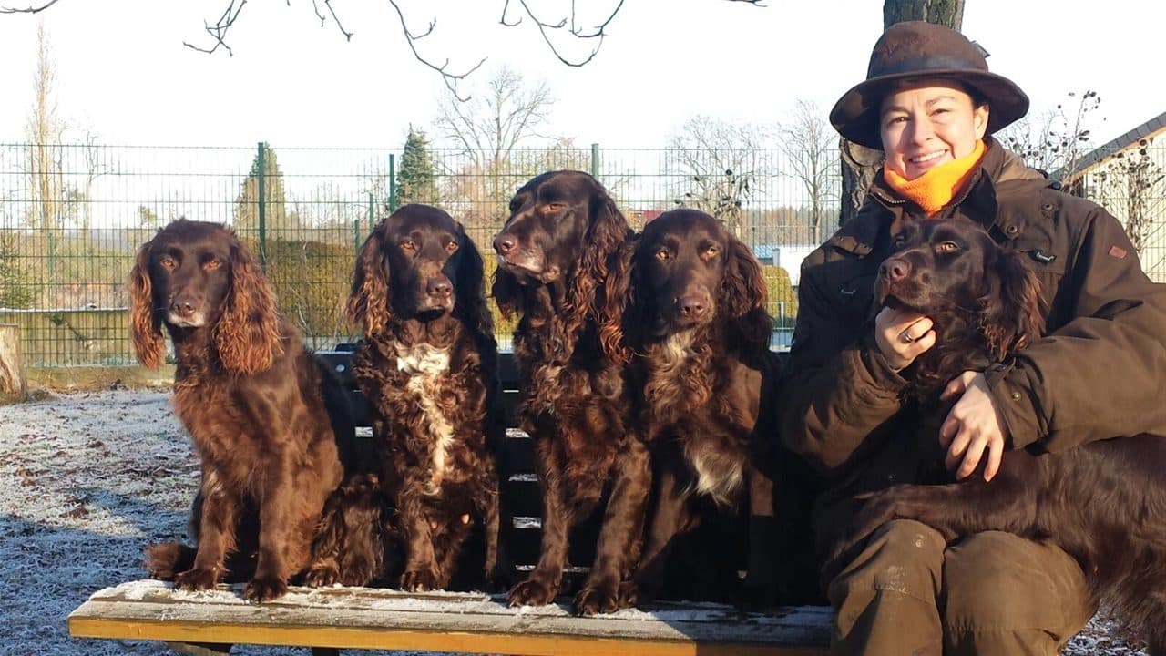 Sara Roth
