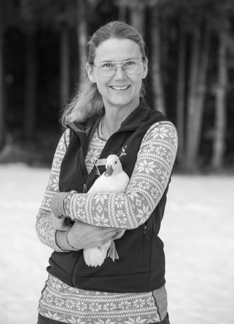 Jennie Höglin