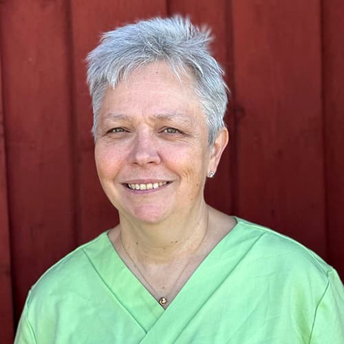 Elisabeth Nilsson