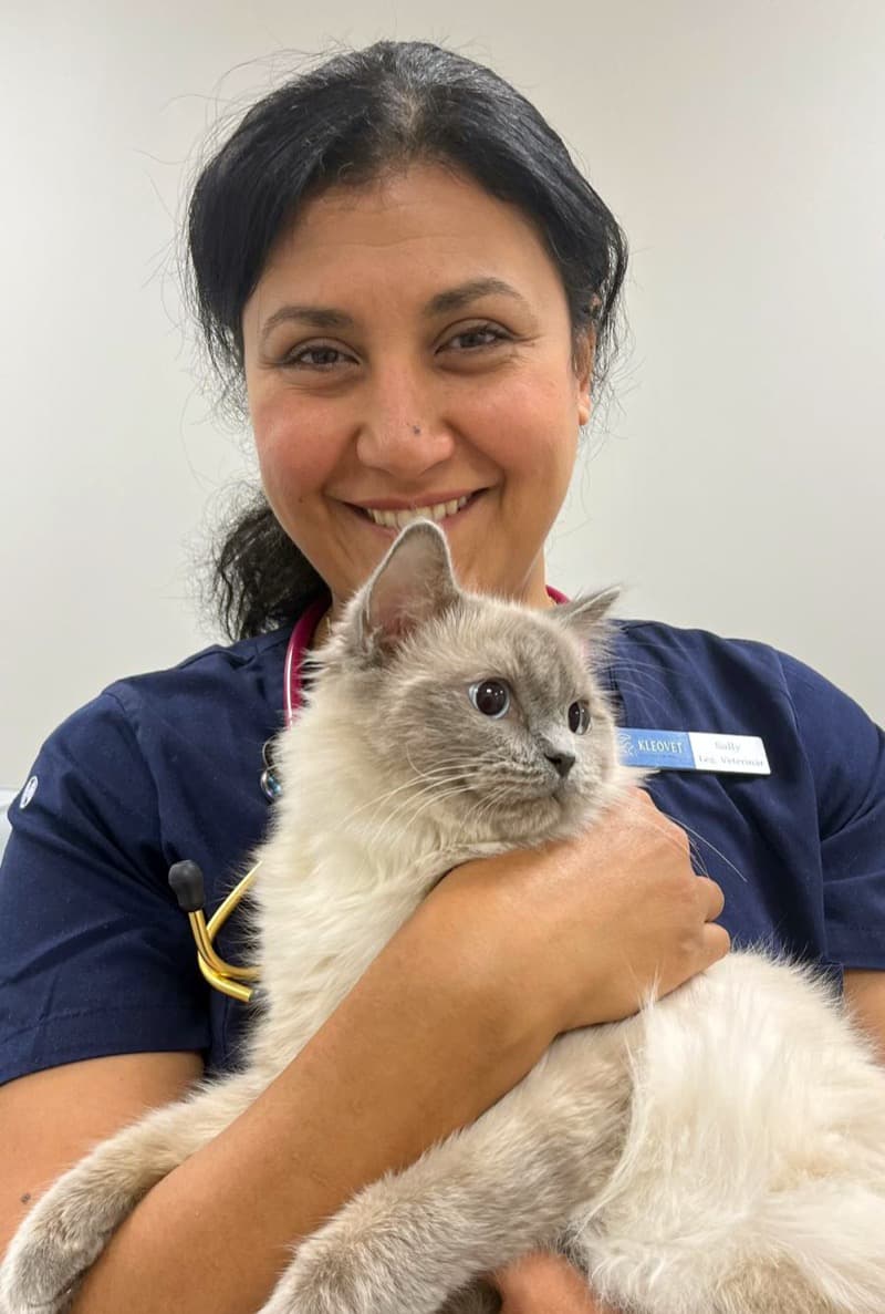 Sally Sobhy Daniel Wasef