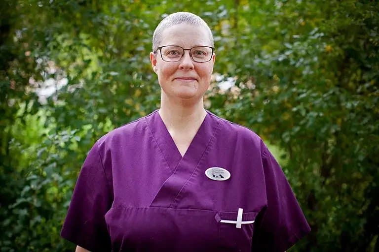 Ulrika Palfelt