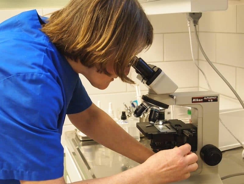 Anna-Kari Björn Kaminski