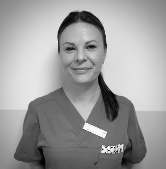 Terese Lindström