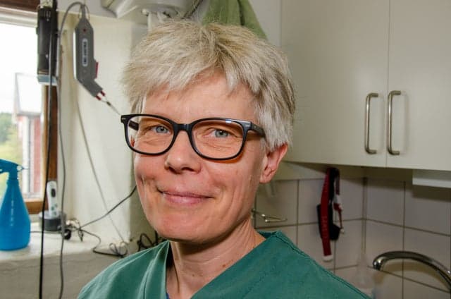 Helena Holm