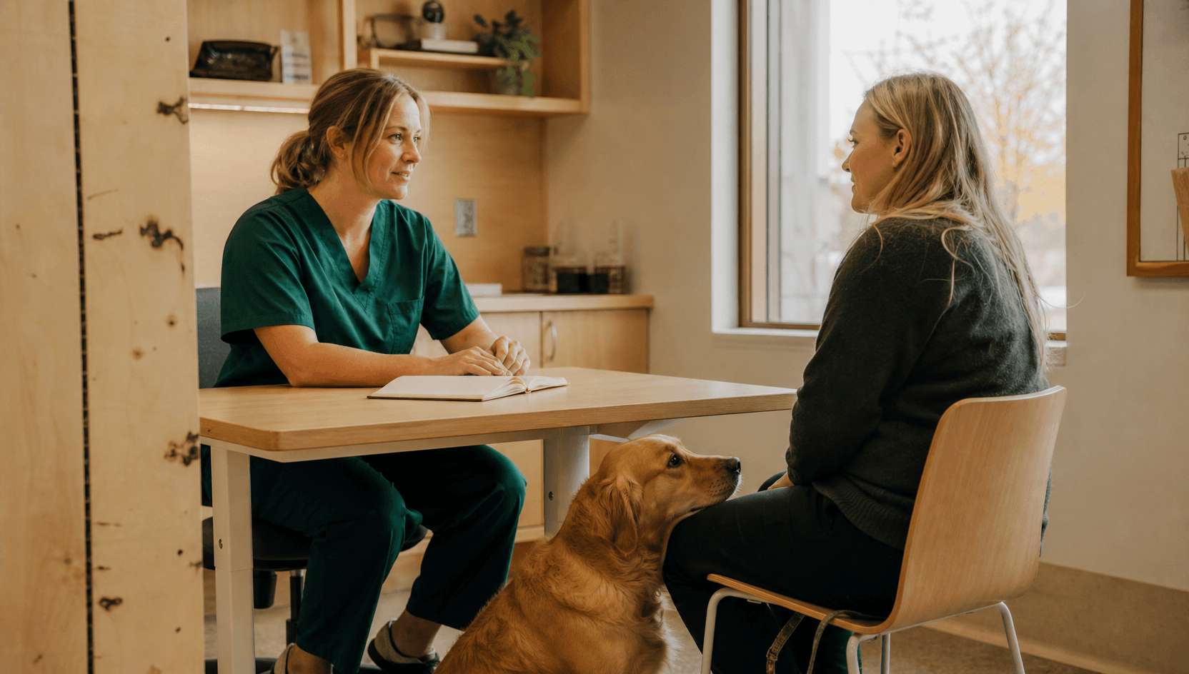 Veterinär i mörkgröna skrubbar pratar lugnt igenom kostplanen med en hundägare vid ett björkträsskrivbord; en gul golden retriever vilar uppmärksamt vid ägarens fötter.